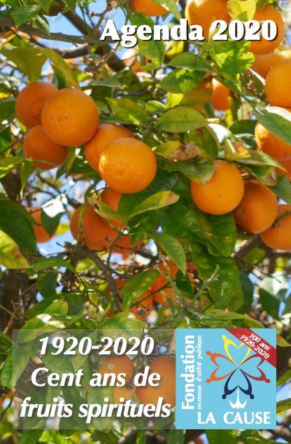 Agenda 2020