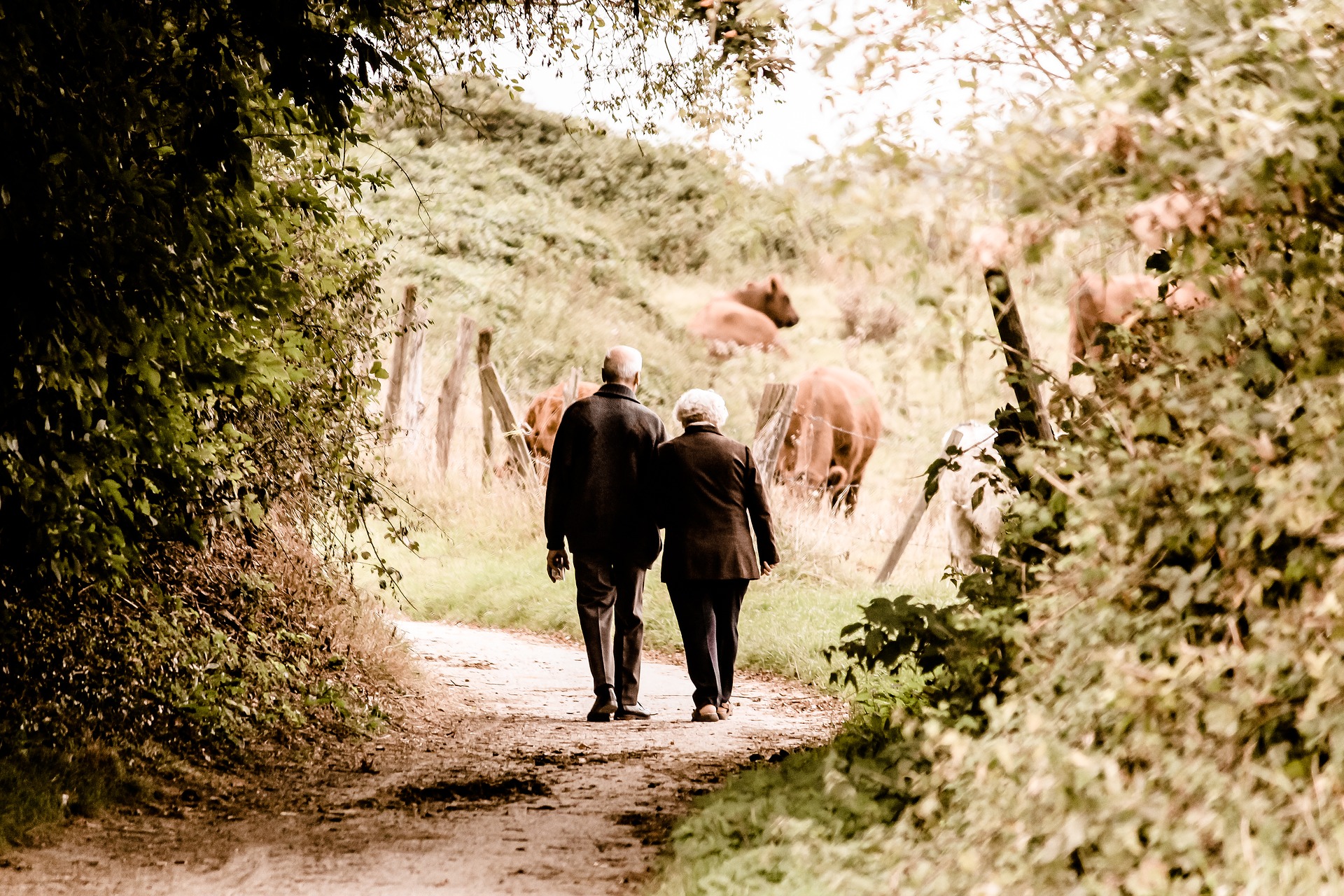 Couple âgé qui se promène dans la campagne